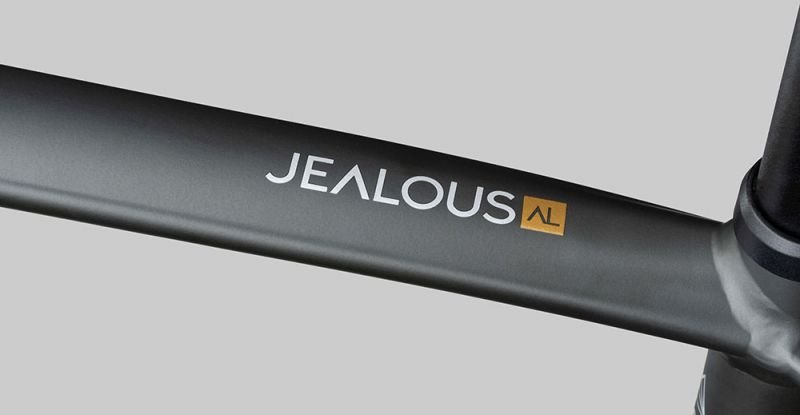 Radon Jealous AL 8.0 HD
