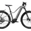 Flyer Goroc2 2.10 - 750 Wh - 2022 - 29 Zoll - Diamant