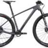 Radon Jealous 8.0