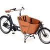 Babboe Mini Mountain ENV HD 500