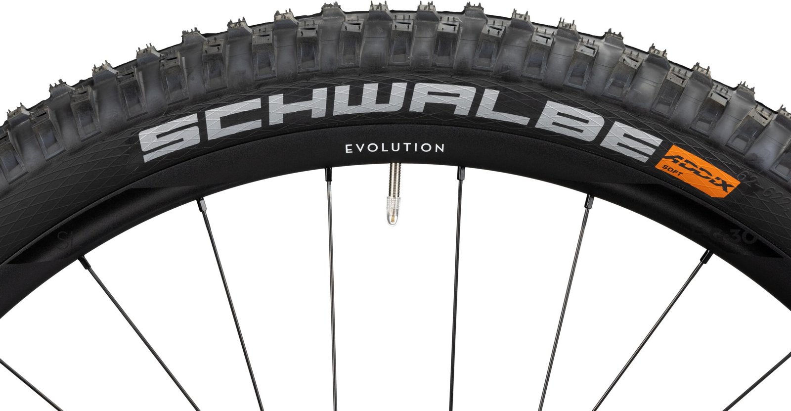 Radon Render 10.0 750 MS Black Edition