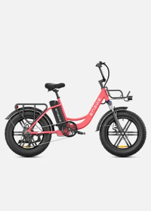 ENGWE L20 SE 250 W